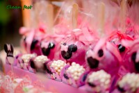 /album/galeria-de-fotos-buffet-completo-para/a3-jpg/